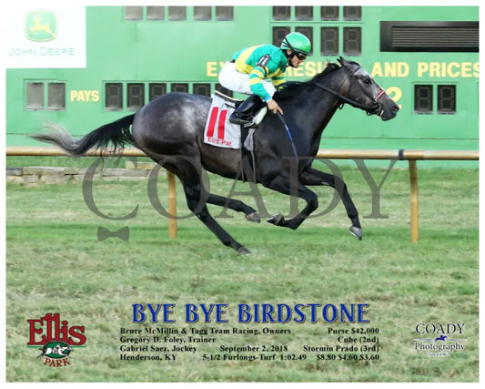 Bye Birdstone - 090218 Race 11 Elp Action Ellis Park