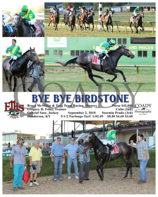 Bye Birdstone - 090218 Race 11 Elp Ellis Park