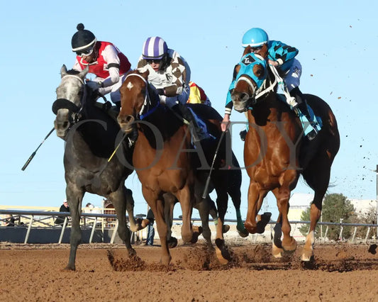 BYE BYE HOLLEY - New Mexico Classic Oaks - 11-24-25 - R09 - Zia Park - Under Rail - Coady Media - Kurtis Coady Photography