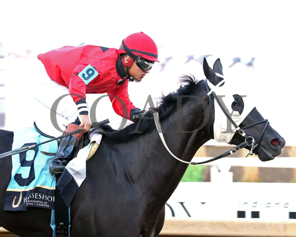 C J'S STORM - To Much Coffee - 28th Running - 10-01-25 - R09 - Horseshoe Indiana - Tight Finish 01 - Devin Hall - Coady Media - Kurtis Coady Photography