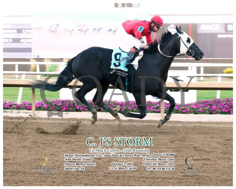 C. J'S STORM - To Much Coffee - 28th Running - 10-01-25 - R09 - IND - Action - Coady Media - Kurtis Coady Photography
