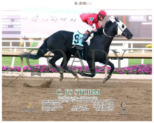C. J'S STORM - To Much Coffee - 28th Running - 10-01-25 - R09 - IND - Action - Coady Media - Kurtis Coady Photography