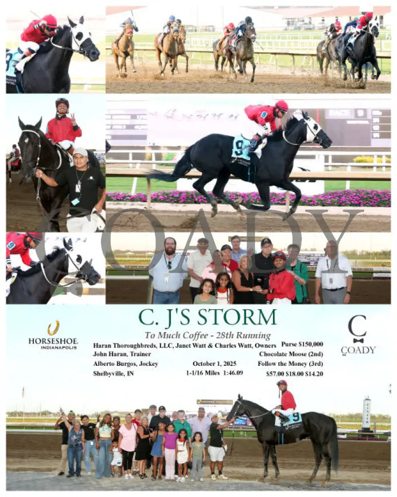 C. J’S STORM - To Much Coffee - 28th Running - 10-01-25 - R09 - IND Indiana Grand