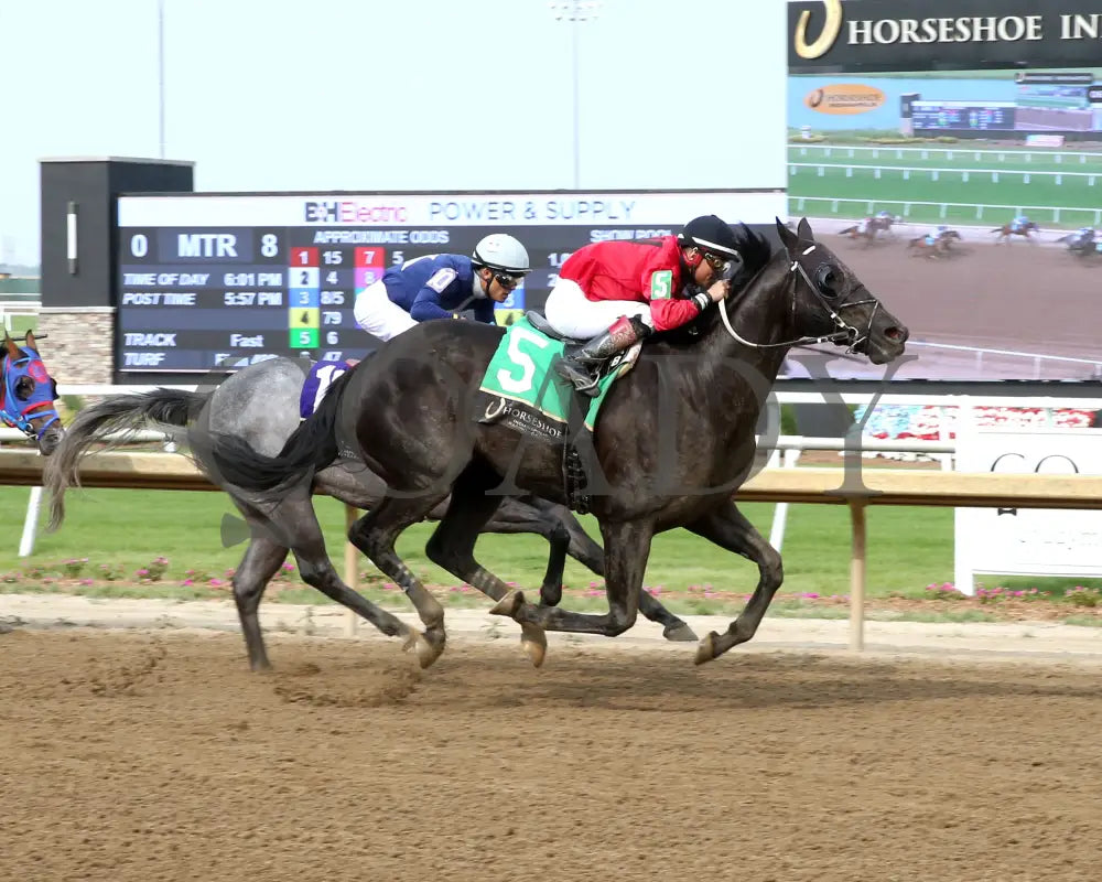 C J’S STORM - William Henry Harrison - 22nd Running - 06-04-25 - R08 - Horseshoe Indiana - Finish 01 - Sammantha Pagels