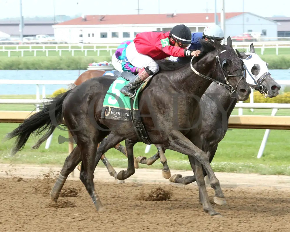 C J’S STORM - William Henry Harrison - 22nd Running - 06-04-25 - R08 - Horseshoe Indiana - Finish 02 - Eli Davis