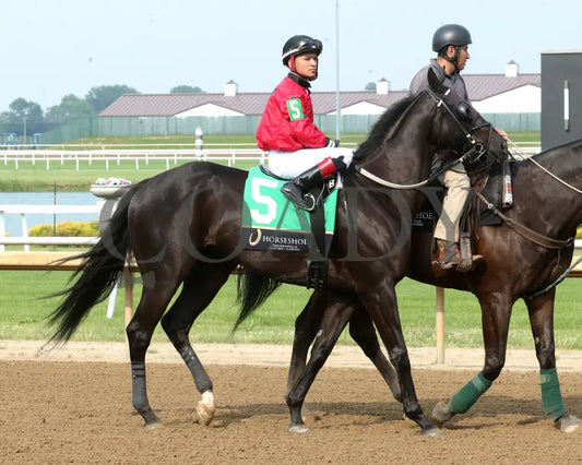 C J’S STORM - William Henry Harrison - 22nd Running - 06-04-25 - R08 - Horseshoe Indiana - Post Parade 01 - Sammantha