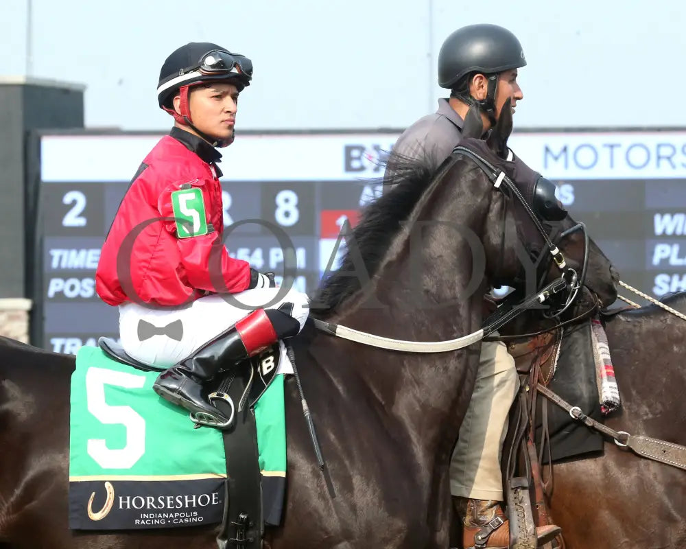 C J’S STORM - William Henry Harrison - 22nd Running - 06-04-25 - R08 - Horseshoe Indiana - Post Parade 02 - Sammantha