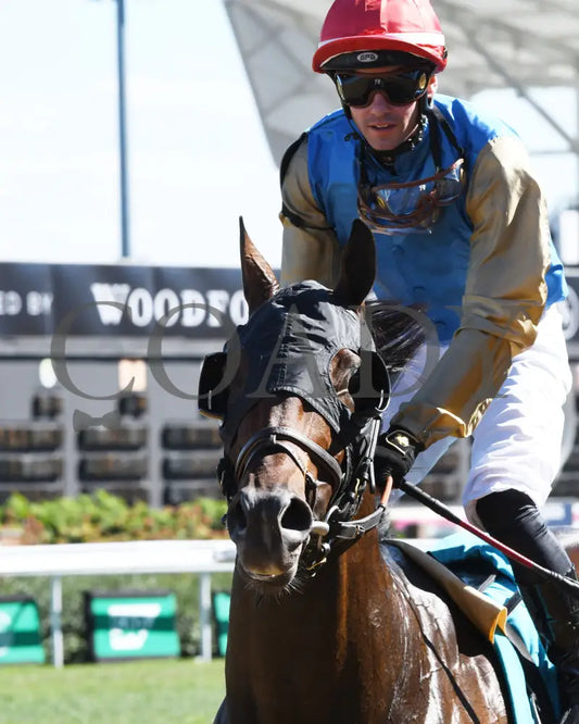 Cagliostro - The Hanshin 06-30-24 R10 Cd Come Back 01 Churchill Downs