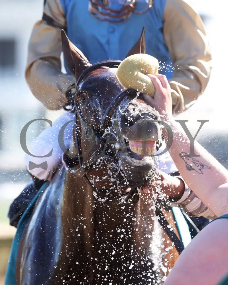 Cagliostro - The Hanshin 06-30-24 R10 Cd Come Back 02 Churchill Downs