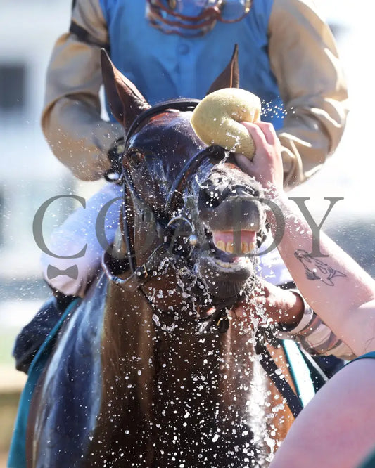 Cagliostro - The Hanshin 06-30-24 R10 Cd Come Back 02 Churchill Downs