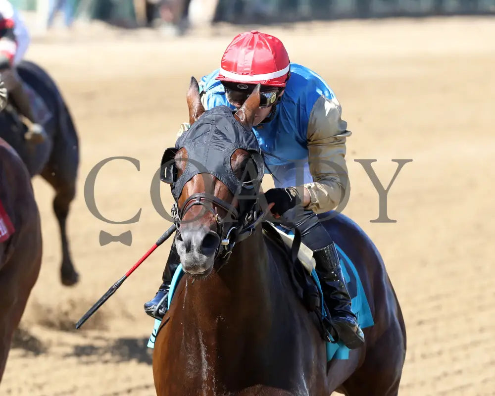 Cagliostro - The Hanshin 06-30-24 R10 Cd Inside Finish 01 Churchill Downs