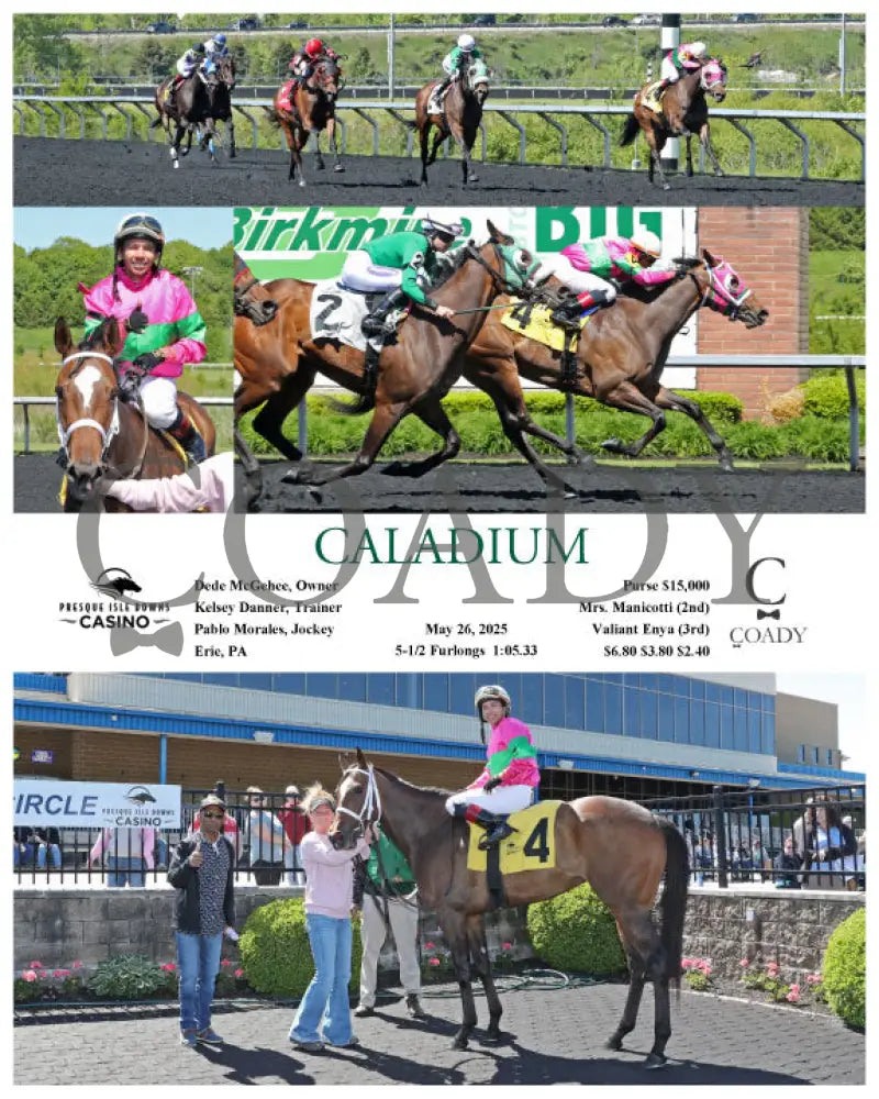 CALADIUM - 05-26-25 - R01 - PID Presque Isle Downs