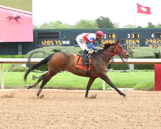 CALIENTE STAR - 040625 - Race 10 - OP - Finish 01 Oaklawn Park
