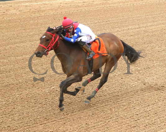 CALIENTE STAR - 040625 - Race 10 - OP - Inside Finish 01 Oaklawn Park