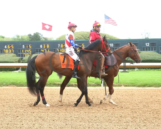 CALIENTE STAR - 040625 - Race 10 - OP - Post Parade 01 Oaklawn Park