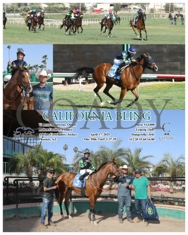 CALIFORNIA BLING - 04-17-25 - R07 - TUP Turf Paradise