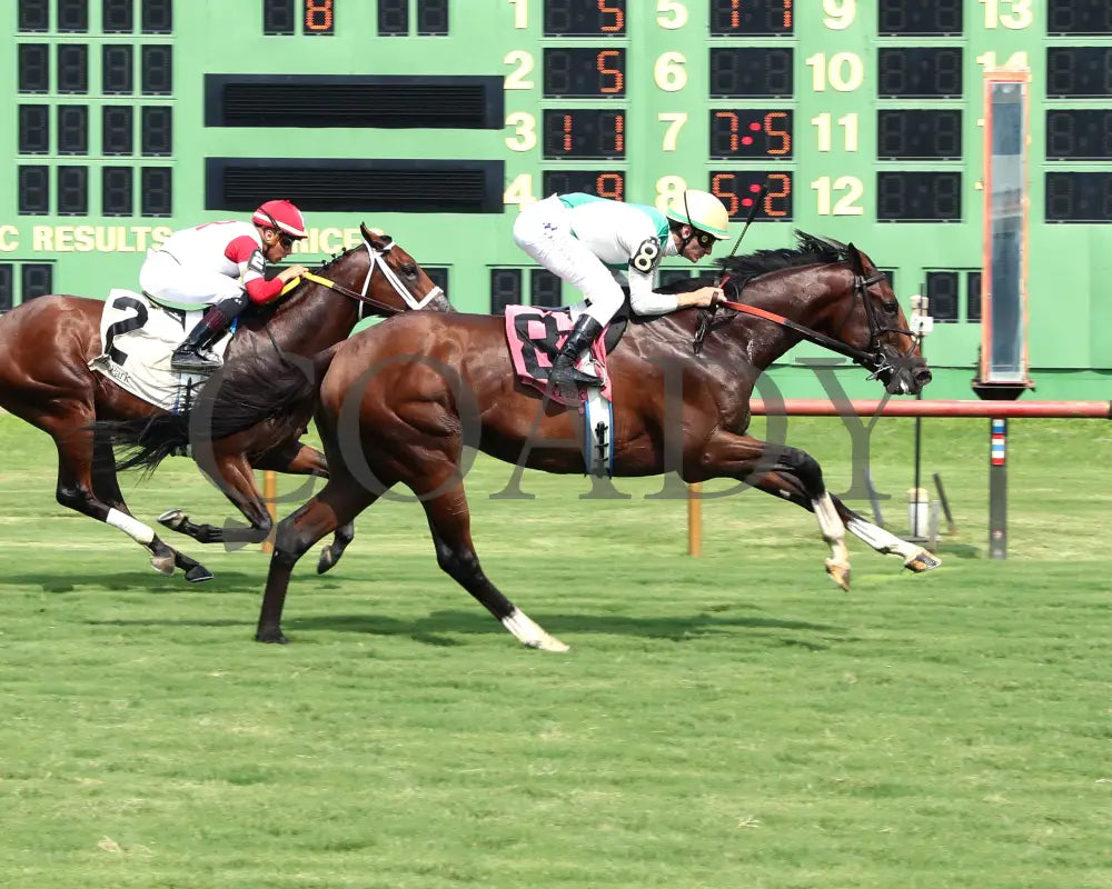 Cameo Performance - Ky Downs Preview Nashville Derby 3Rd Running 08-03-24 R08 Elp Finish 01 Ellis