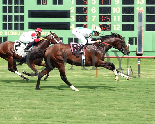 Cameo Performance - Ky Downs Preview Nashville Derby 3Rd Running 08-03-24 R08 Elp Finish 01 Ellis