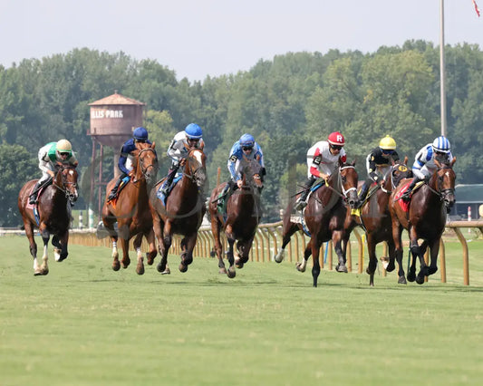 Cameo Performance - Ky Downs Preview Nashville Derby 3Rd Running 08-03-24 R08 Elp First Turn 01