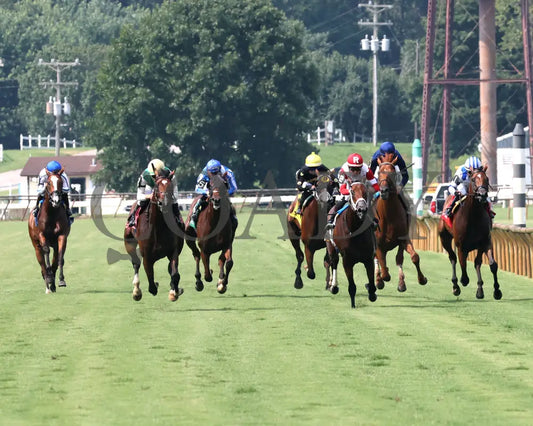 Cameo Performance - Ky Downs Preview Nashville Derby 3Rd Running 08-03-24 R08 Elp Head On 01 Ellis