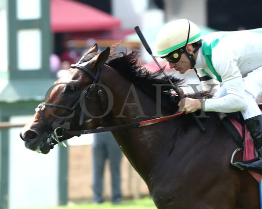 Cameo Performance - Ky Downs Preview Nashville Derby 3Rd Running 08-03-24 R08 Elp Tight Finish 01