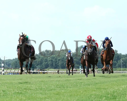 Cameo Performance - Ky Downs Preview Nashville Derby 3Rd Running 08-03-24 R08 Elp Under Rail 01
