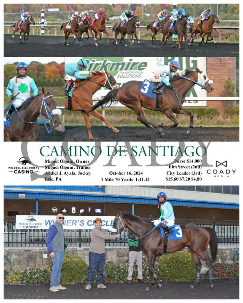 Camino De Santiago - 10-16-24 R08 Pid Presque Isle Downs