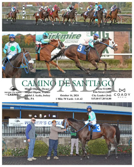 Camino De Santiago - 10-16-24 R08 Pid Presque Isle Downs