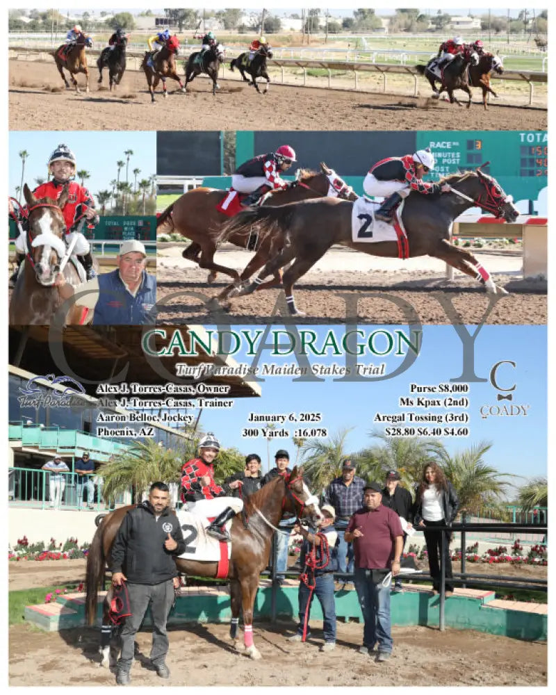 Candy Dragon - Turf Paradise Maiden Stakes Trial 01-06-25 R03 Tup