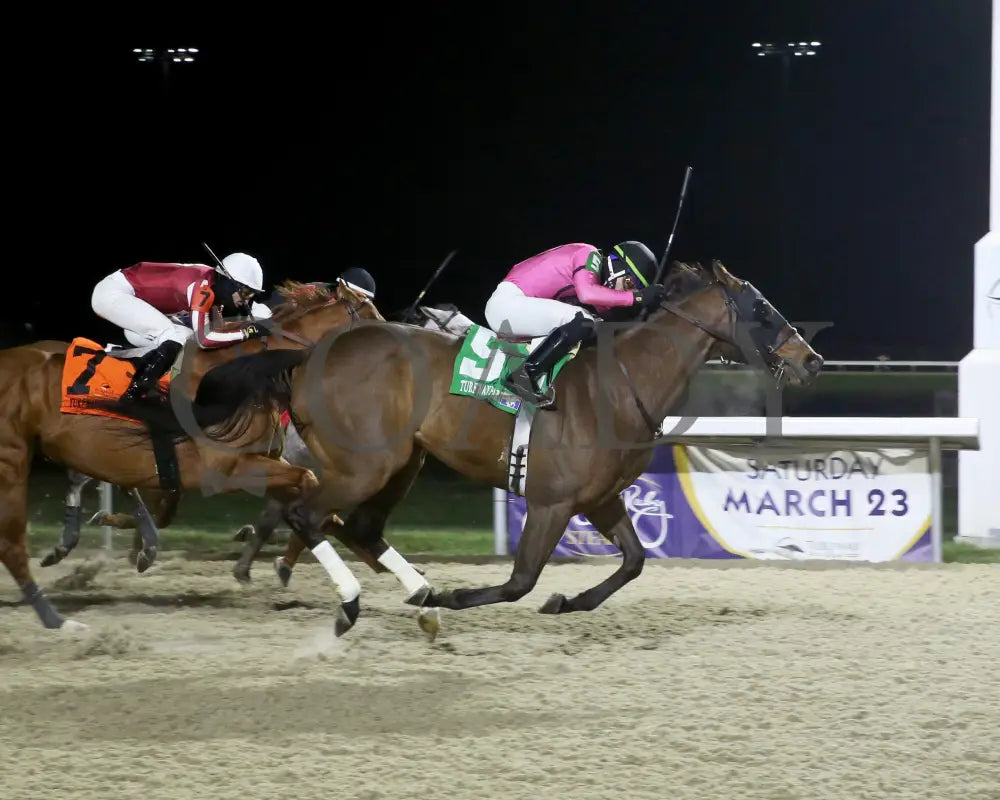 Candy Overload - The Big Daddy 3Rd Running 03 - 09 - 24 R07 Turfway Park Finish 01