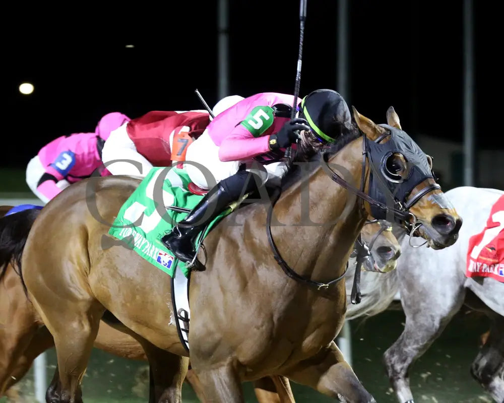 Candy Overload - The Big Daddy 3Rd Running 03 - 09 - 24 R07 Turfway Park Finish 02