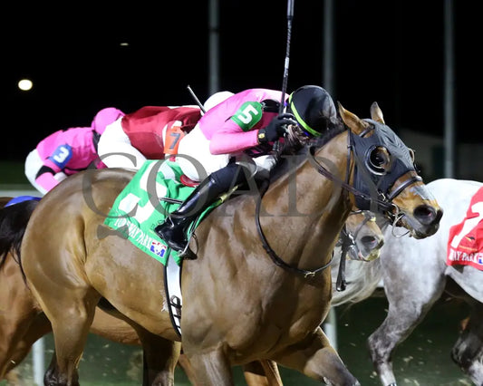 Candy Overload - The Big Daddy 3Rd Running 03 - 09 - 24 R07 Turfway Park Finish 02