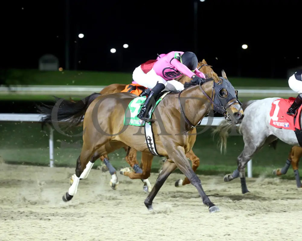 Candy Overload - The Big Daddy 3Rd Running 03 - 09 - 24 R07 Turfway Park Finish 03