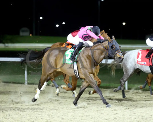 Candy Overload - The Big Daddy 3Rd Running 03 - 09 - 24 R07 Turfway Park Finish 03