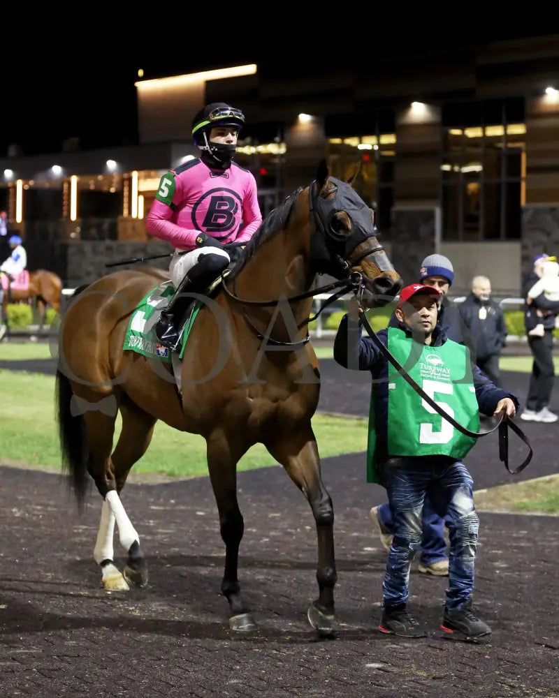 Candy Overload - The Big Daddy 3Rd Running 03 - 09 - 24 R07 Turfway Park Paddock 01