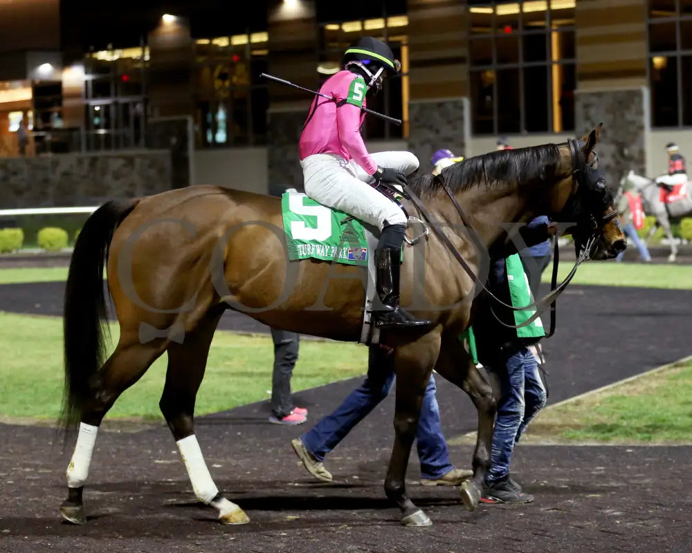 Candy Overload - The Big Daddy 3Rd Running 03 - 09 - 24 R07 Turfway Park Paddock 02