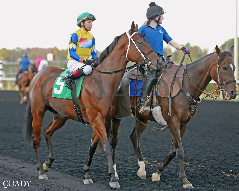 CANDY REWARD - The H.B.P.A. Stakes - 10-06-25 - R07 - Post Parade Presque Isle Downs