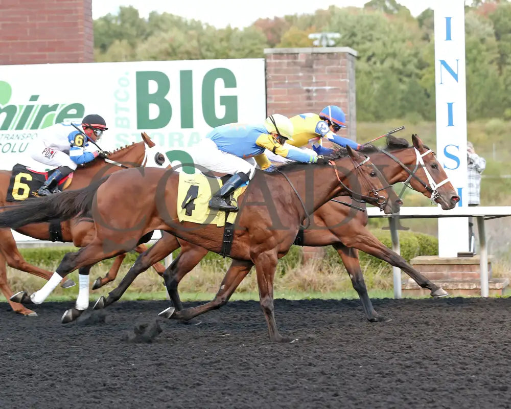 Candy Reward - The H.b.p.a. Stakes 10-07-24 R07 Pid Finish Presque Isle Downs
