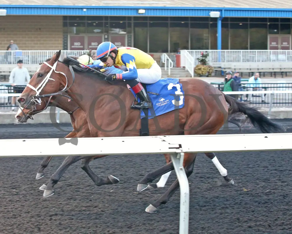 Candy Reward - The H.b.p.a. Stakes 10-07-24 R07 Pid Inside Finish Presque Isle Downs