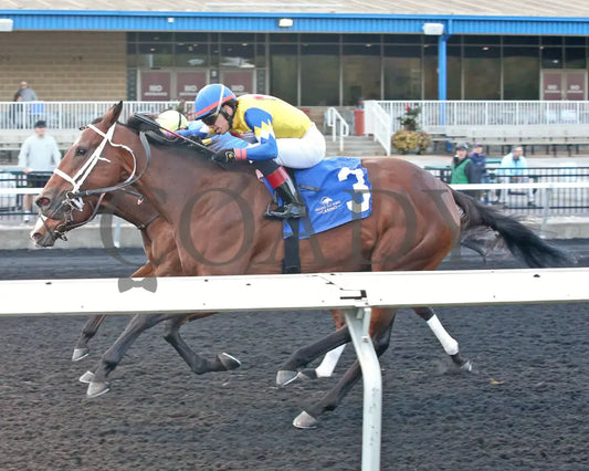 Candy Reward - The H.b.p.a. Stakes 10-07-24 R07 Pid Inside Finish Presque Isle Downs