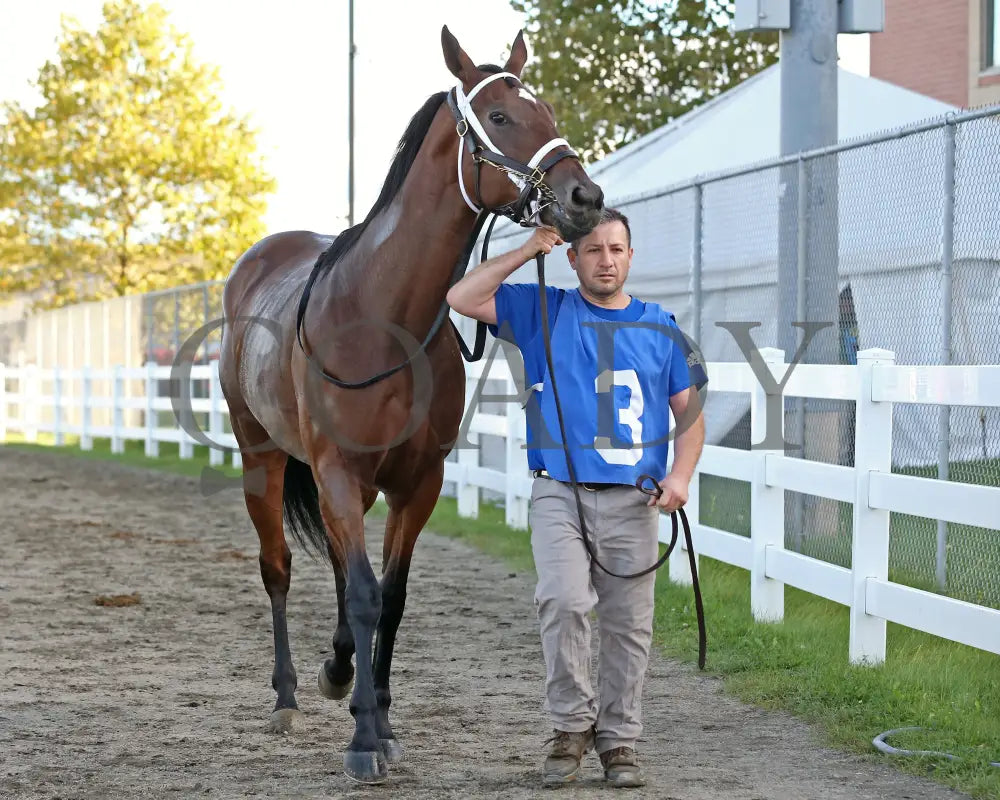 Candy Reward - The H.b.p.a. Stakes 10-07-24 R07 Pid Paddock 01 Presque Isle Downs