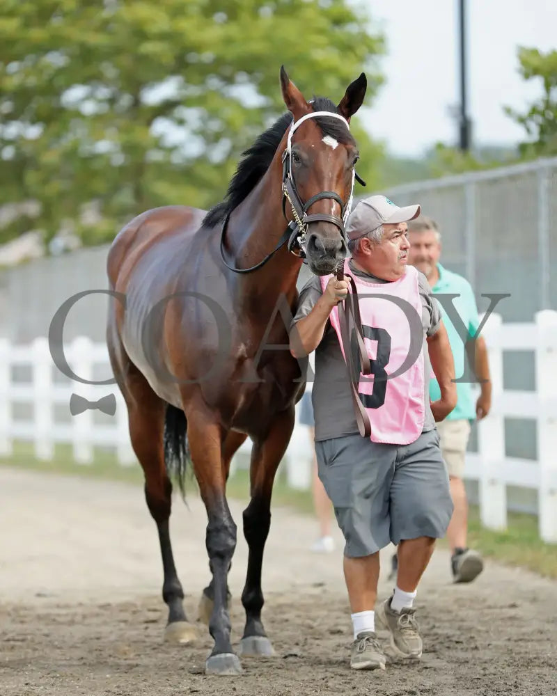 CANDY REWARD - The Princess of Sylmar Stakes - 16th Running - 07-28-25 - R06 - PID - Paddock 01 Presque Isle Downs