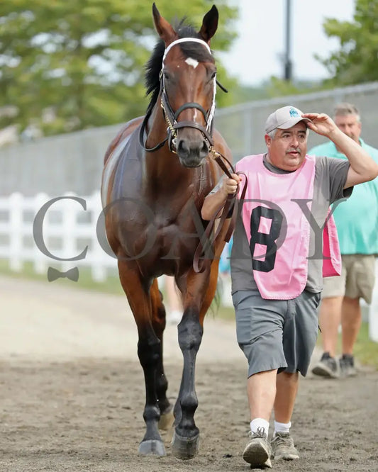 CANDY REWARD - The Princess of Sylmar Stakes - 16th Running - 07-28-25 - R06 - PID - Paddock 02 - Coady Media - Kurtis Coady Photography