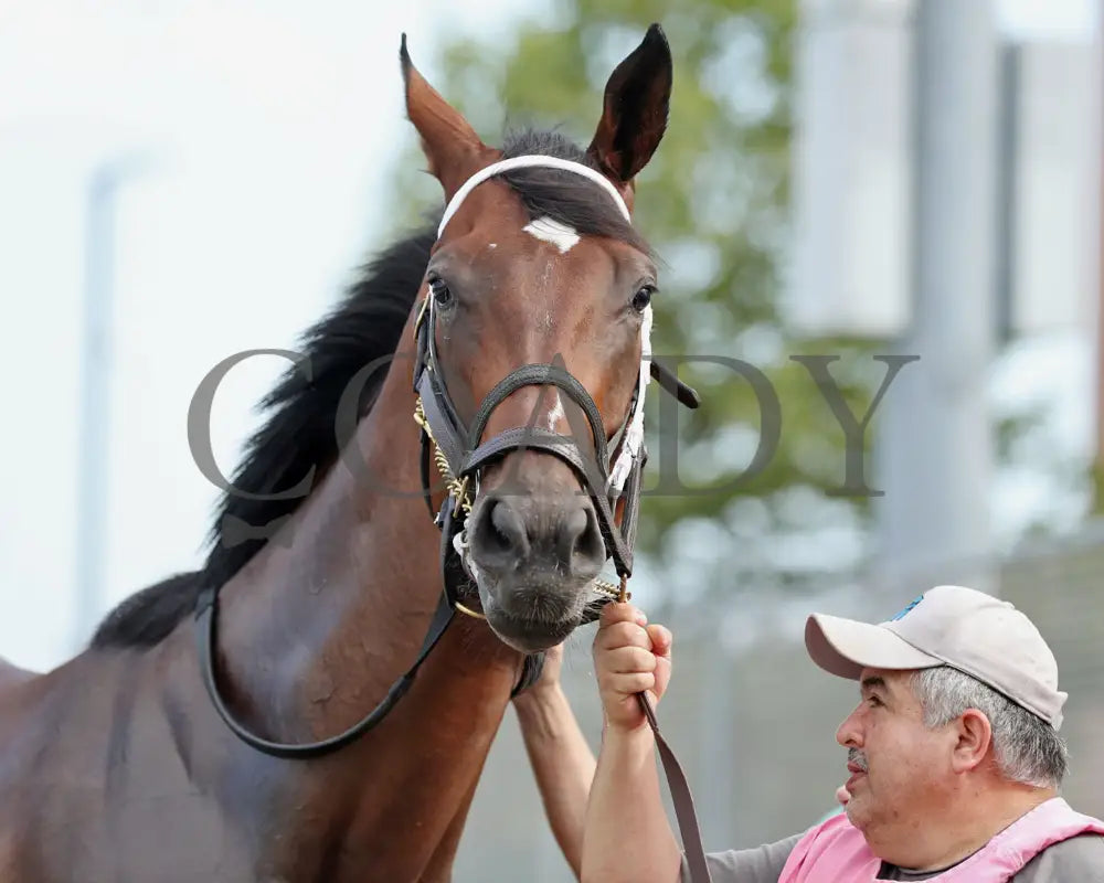 CANDY REWARD - The Princess of Sylmar Stakes - 16th Running - 07-28-25 - R06 - PID - Paddock 03 Presque Isle Downs