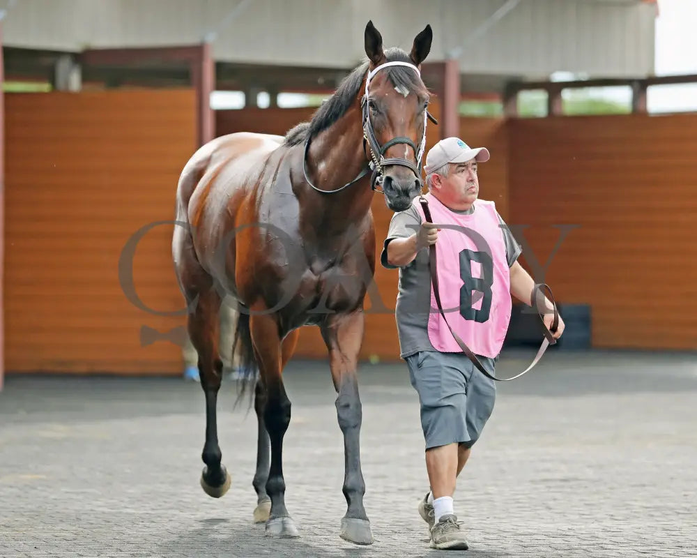 CANDY REWARD - The Princess of Sylmar Stakes - 16th Running - 07-28-25 - R06 - PID - Paddock 04 Presque Isle Downs