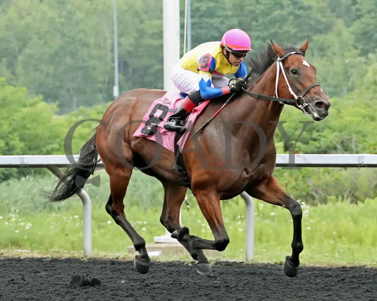 CANDY REWARD - The Princess of Sylmar Stakes - 16th Running - 07-28-25 - R06 - PID - Tight Finish 01 Presque Isle Downs