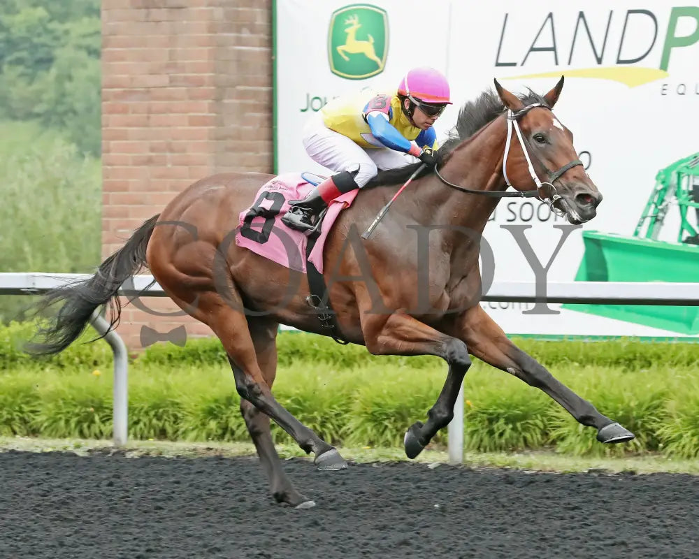 CANDY REWARD - The Princess of Sylmar Stakes - 16th Running - 07-28-25 - R06 - PID - Tight Finish 02 Presque Isle Downs