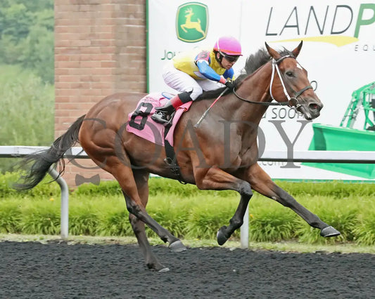 CANDY REWARD - The Princess of Sylmar Stakes - 16th Running - 07-28-25 - R06 - PID - Tight Finish 02 Presque Isle Downs