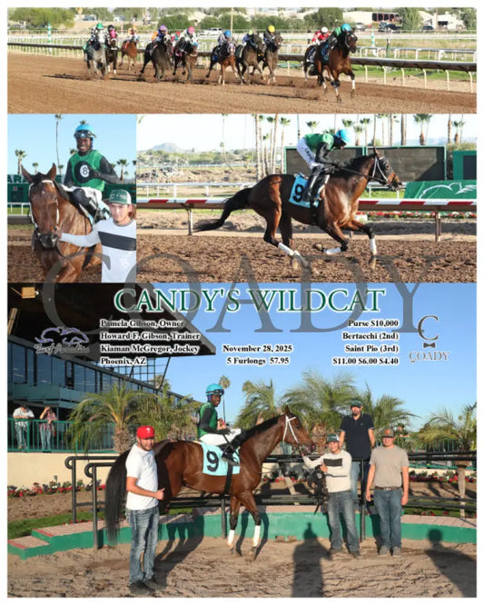 CANDY’S WILDCAT - 11-28-25 - R07 - TUP Turf Paradise