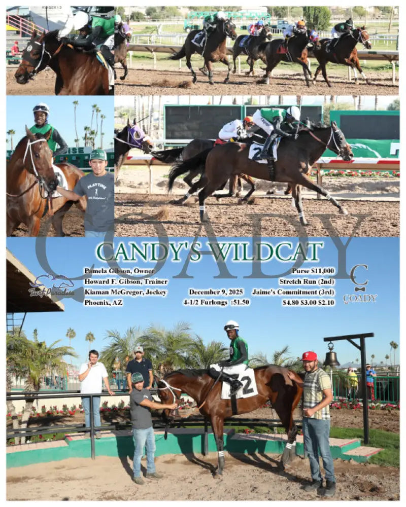CANDY'S WILDCAT - 120925 - Race 05 - TUP - Coady Media - Kurtis Coady Photography